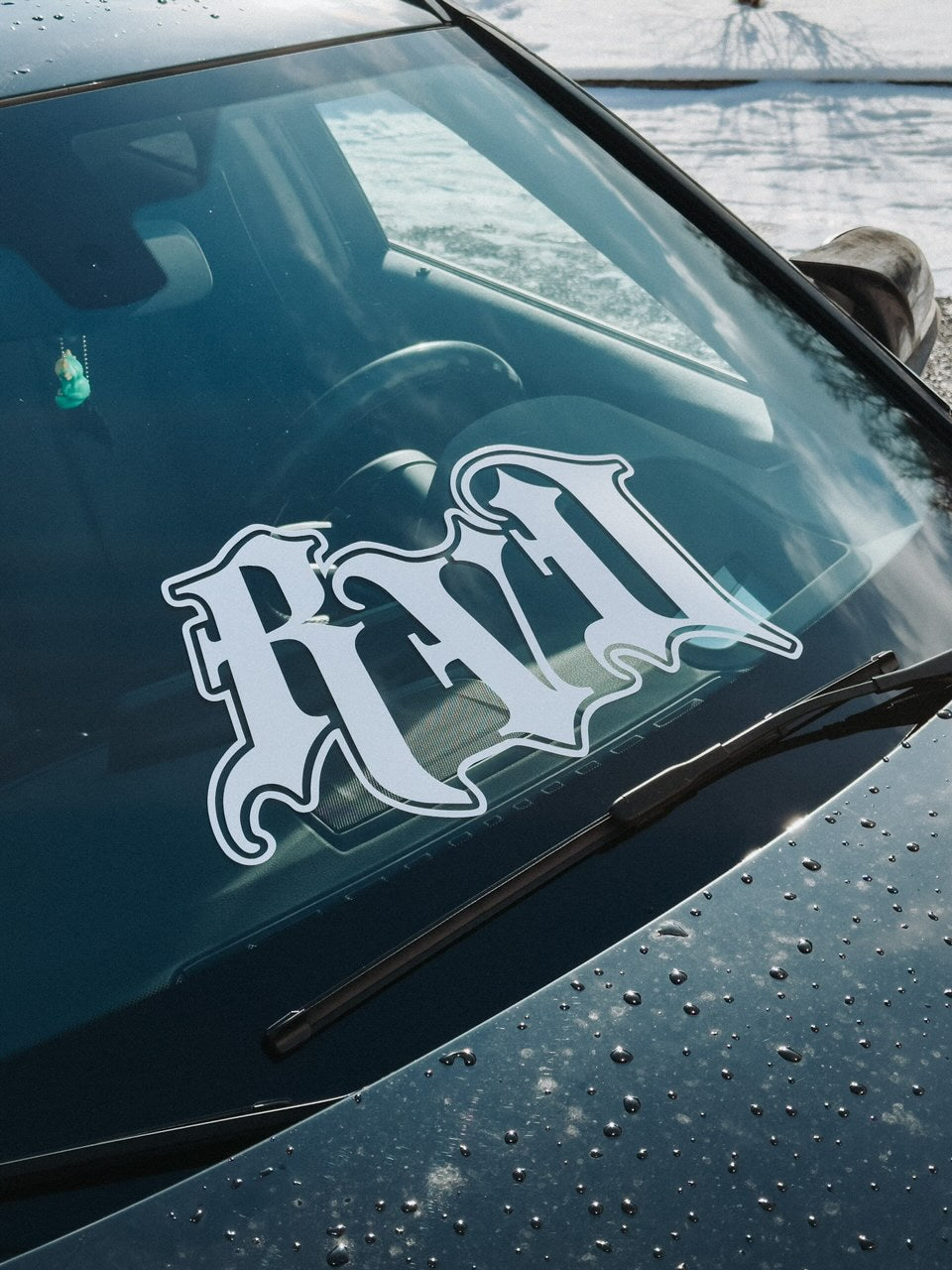 RVD BANNER