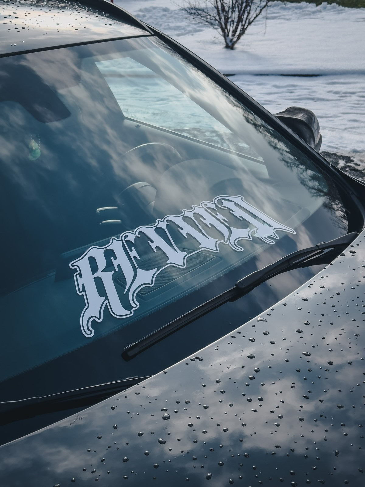 VANDAL BANNER