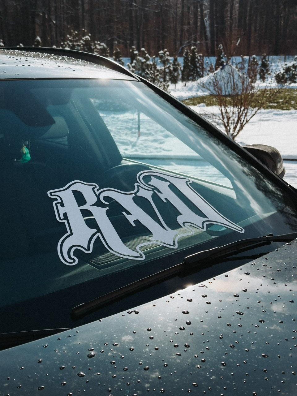 RVD BANNER