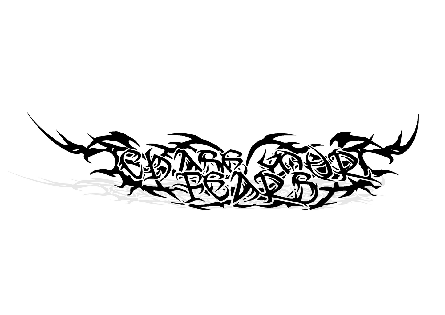 CHASE YOUR FEARS BANNER