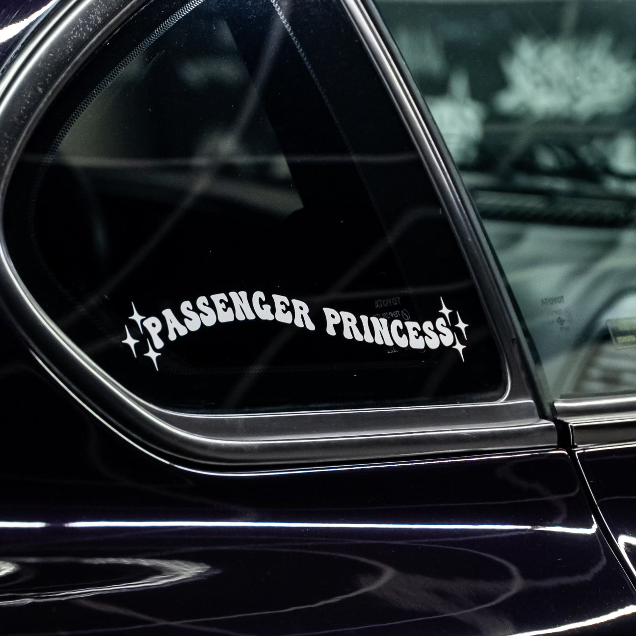 PASSENGER PRINCESS DECAL