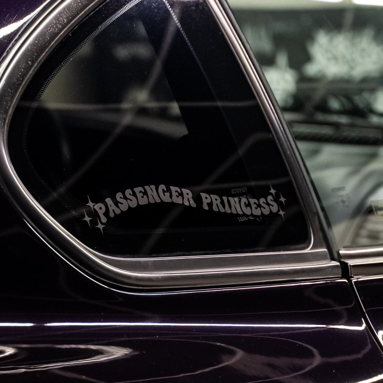 PASSENGER PRINCESS DECAL