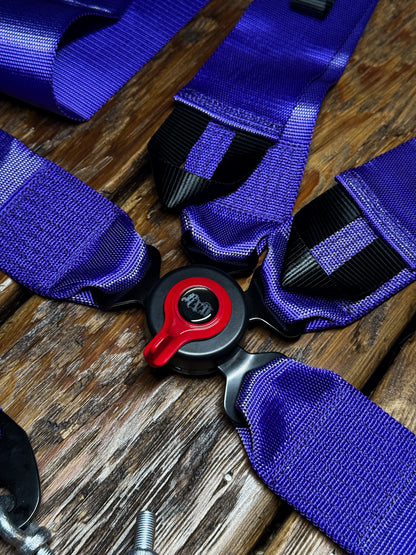 MURASAKI 4P HARNESS PURPLE - PREORDER